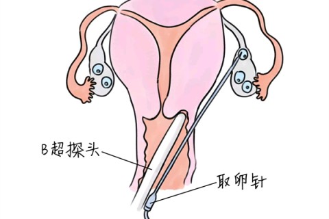 http://nanjing.huochezhan.net/post/205.html|南京供卵助孕