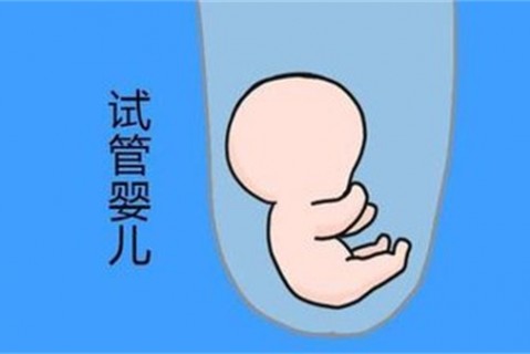 培养南京捐卵宝宝艺术细胞的小技巧