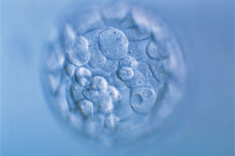 http://nanjing.huochezhan.net/post/200.html|南京新闻中心